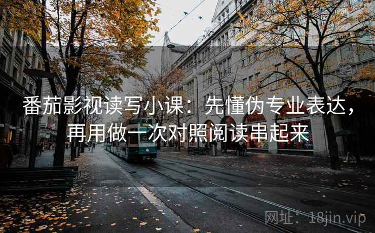 番茄影视读写小课：先懂伪专业表达，再用做一次对照阅读串起来  第2张